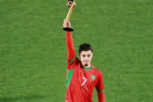 世青賽獎(jiǎng)項(xiàng)：瑪瑪金球、扎比里銀球、德爾加多銅球，巴比金手套