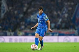 疑似吐口水！大連英博球迷呼吁俱樂部上訴申花外援特謝拉