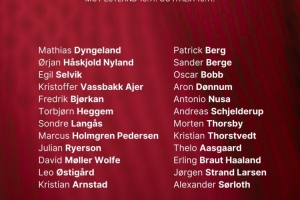 挪威11月世預賽名單：哈蘭德、鮑勃、瑟爾洛特在列，厄德高傷缺