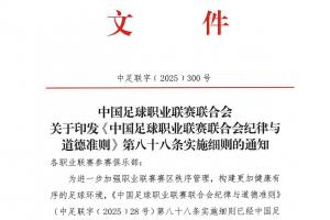 中足聯(lián)發(fā)紀(jì)律細(xì)則：賽區(qū)球隊(duì)對(duì)觀眾行為負(fù)責(zé)，多類不當(dāng)行為從重罰