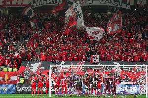 馬德興：海港球迷很少高調(diào)只默默跟隨，沒(méi)招惹任何一方更不樹(shù)敵