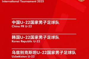 熊貓杯票務(wù)方案：7日晚起售，票價(jià)68元至118元