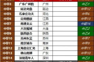 中甲球隊2025賽季排名和2024賽季排名對比
