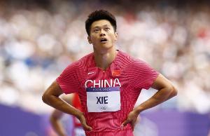 謝震業(yè)：沒有誰可以一直站在巔峰，我的堅(jiān)持可能是我個(gè)人的任性