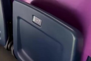 基本是最好的位置了吧？網(wǎng)紅美女現(xiàn)場觀戰(zhàn)國家德比！吃的真好?。? >
                                        </div>
                                    </div>
                                                                        <div   id=