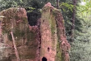 弗拉格談Nico的下課：他是個(gè)很棒的人，我們關(guān)系也很