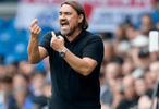 英超主帥下課賠率榜出爐，法爾克1.50領(lǐng)跑